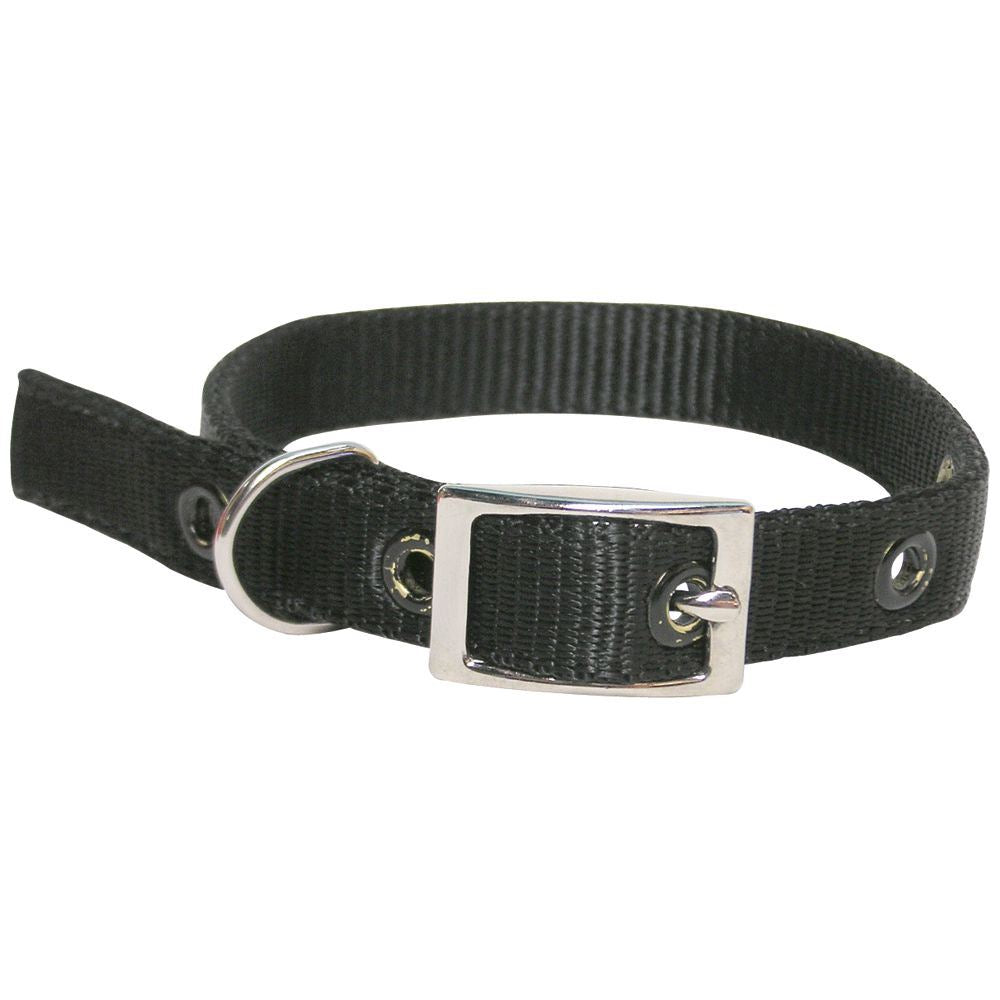 Goat Collar Nylon Kid BLACK