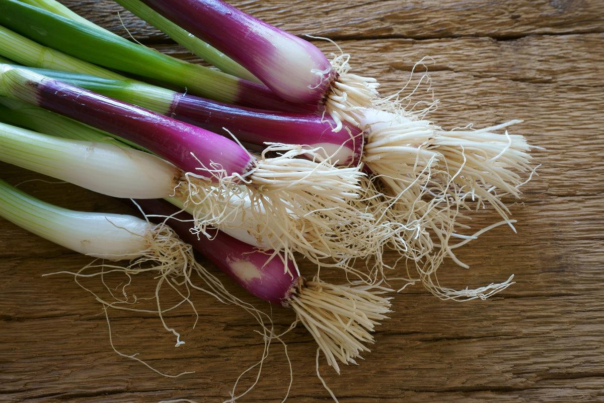 Shallot Red Beard