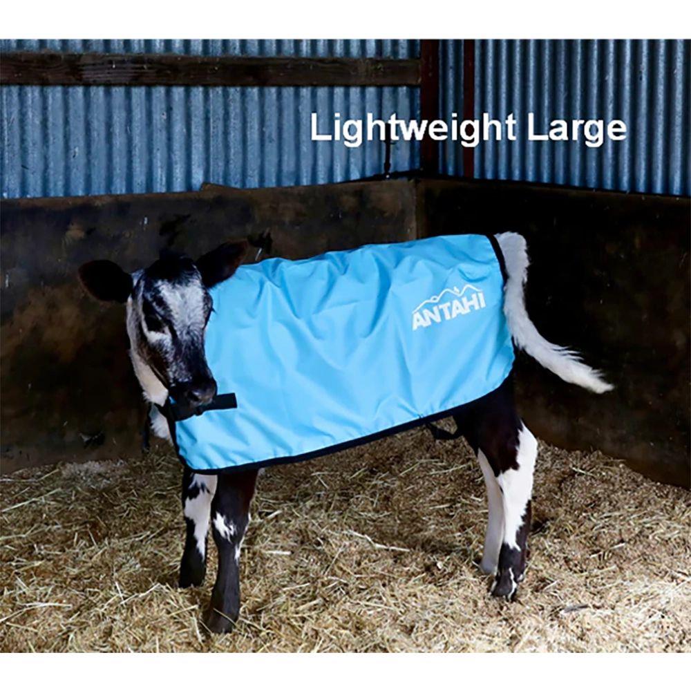 Antahi Thermoo Large Light Blue