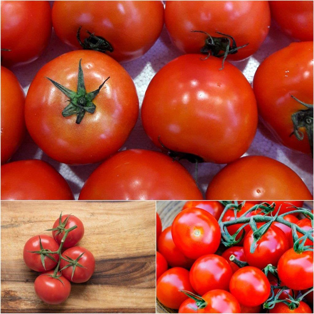 Tomato Tropic