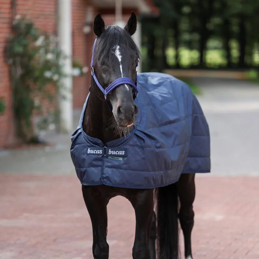 Bucas Rug Liner 100g 140cm/6'3