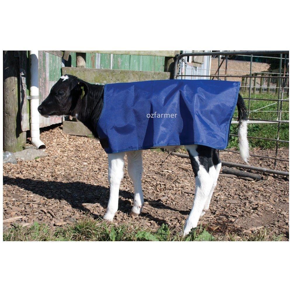 Calf Coat / Cover Polyester 73cm / 40kg - OzFarmer