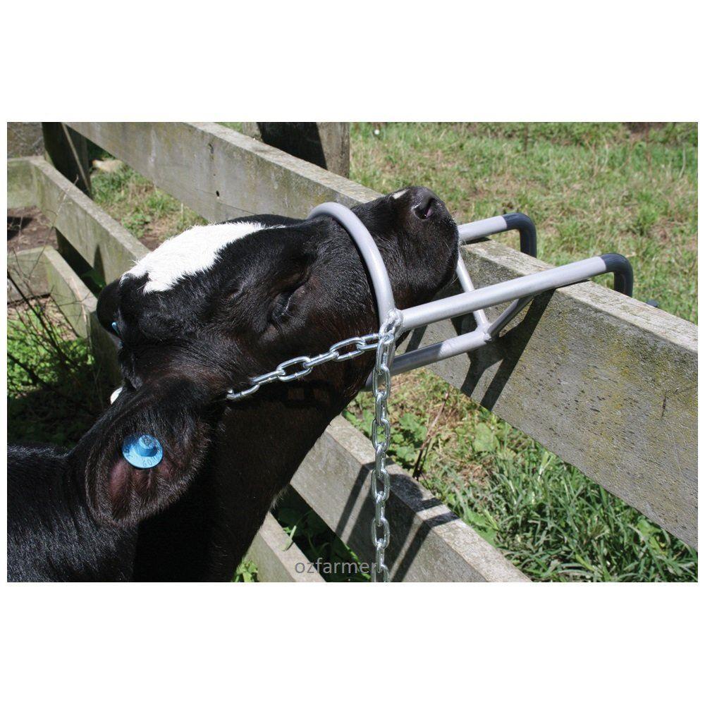 Calf Debudding Restrainer - OzFarmer