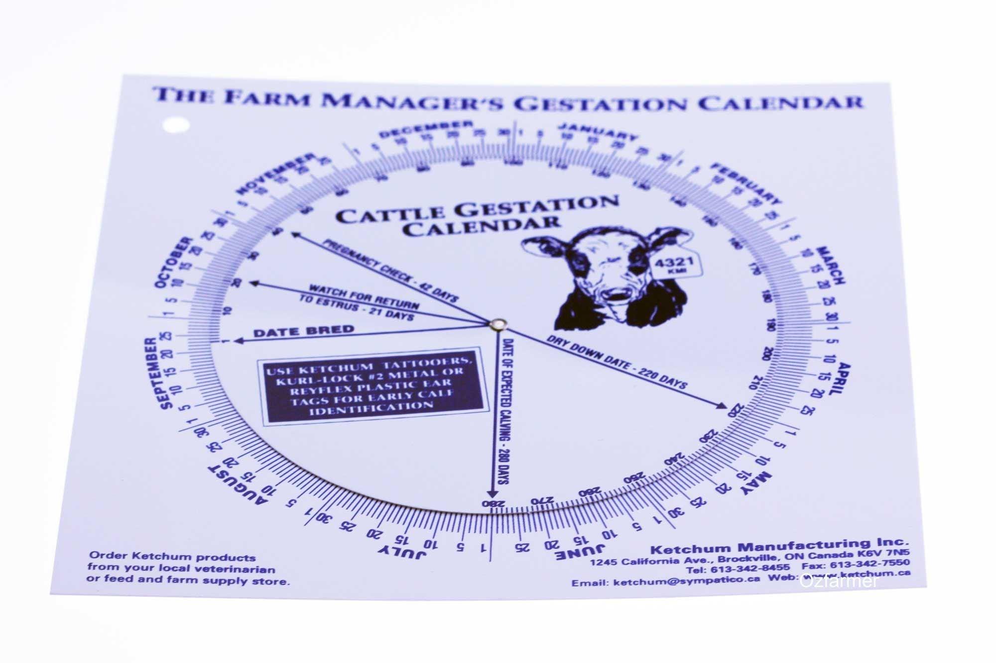 Calving Gestation Calendar Cattle Cows Dairy - OzFarmer