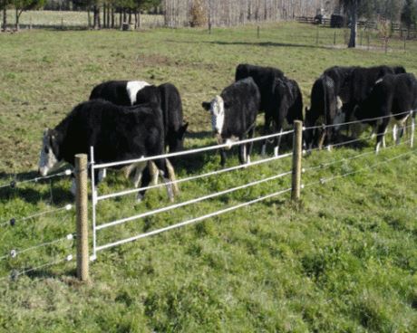 Taragate 4 strand Lifestyler Electric Fence Gate