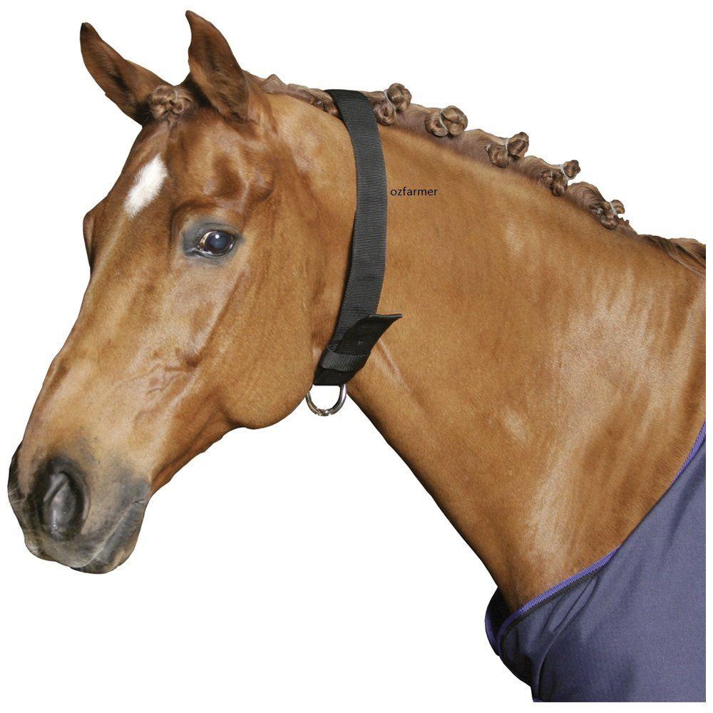 Collar Horse Webbing Black - OzFarmer