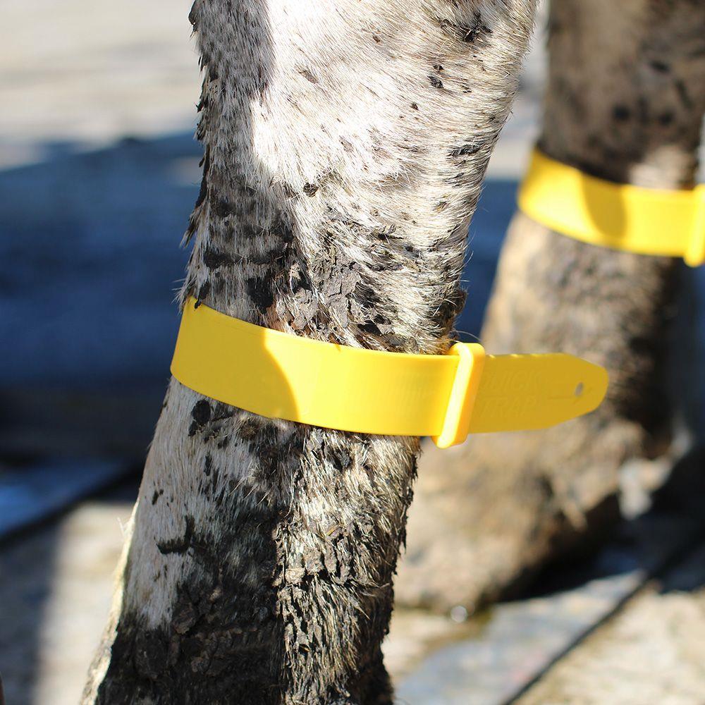 Leg Quick Strap Yellow 5-Pack