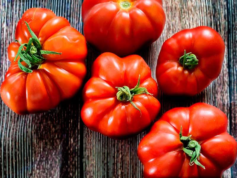 Tomato Rouge de Marmande