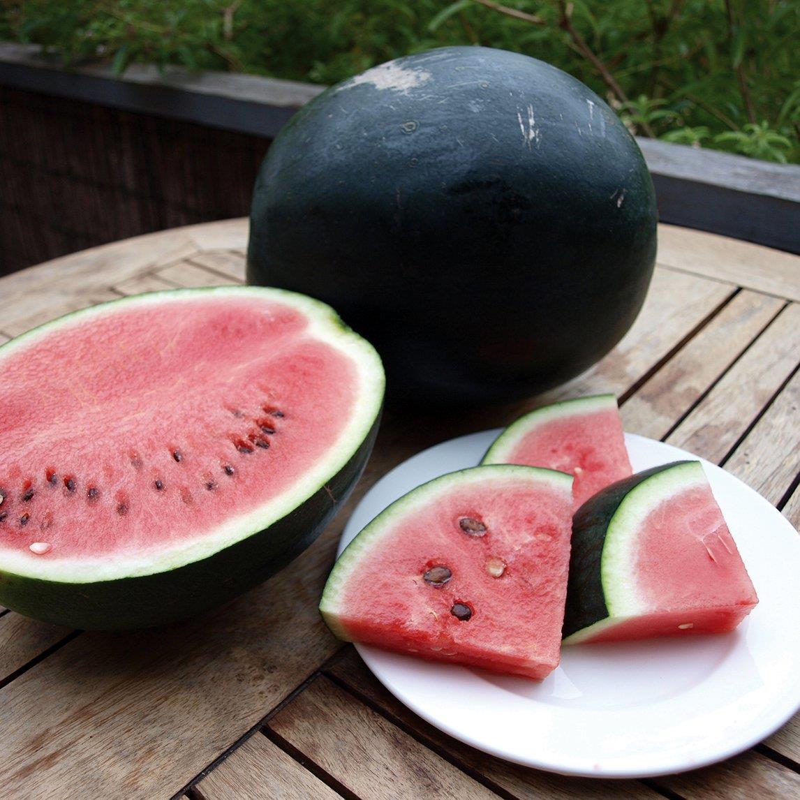 Watermelon Sugarbaby