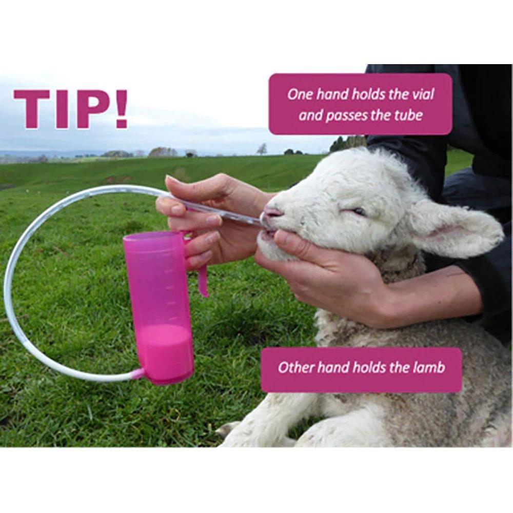 Antahi Trusti Tuber Lambs Kids Fawn