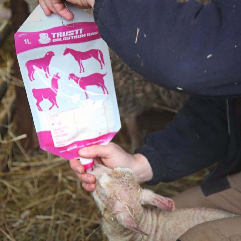 Antahi 1L Trusti Colostrum Bags x 50