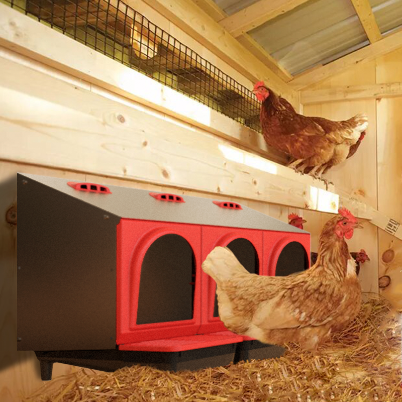 COPELE Chicken Starter Bundle