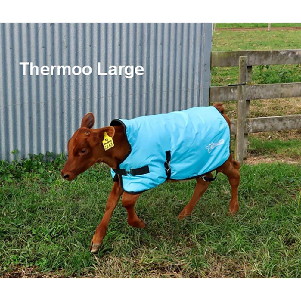 Antahi Thermoo Large Light Blue