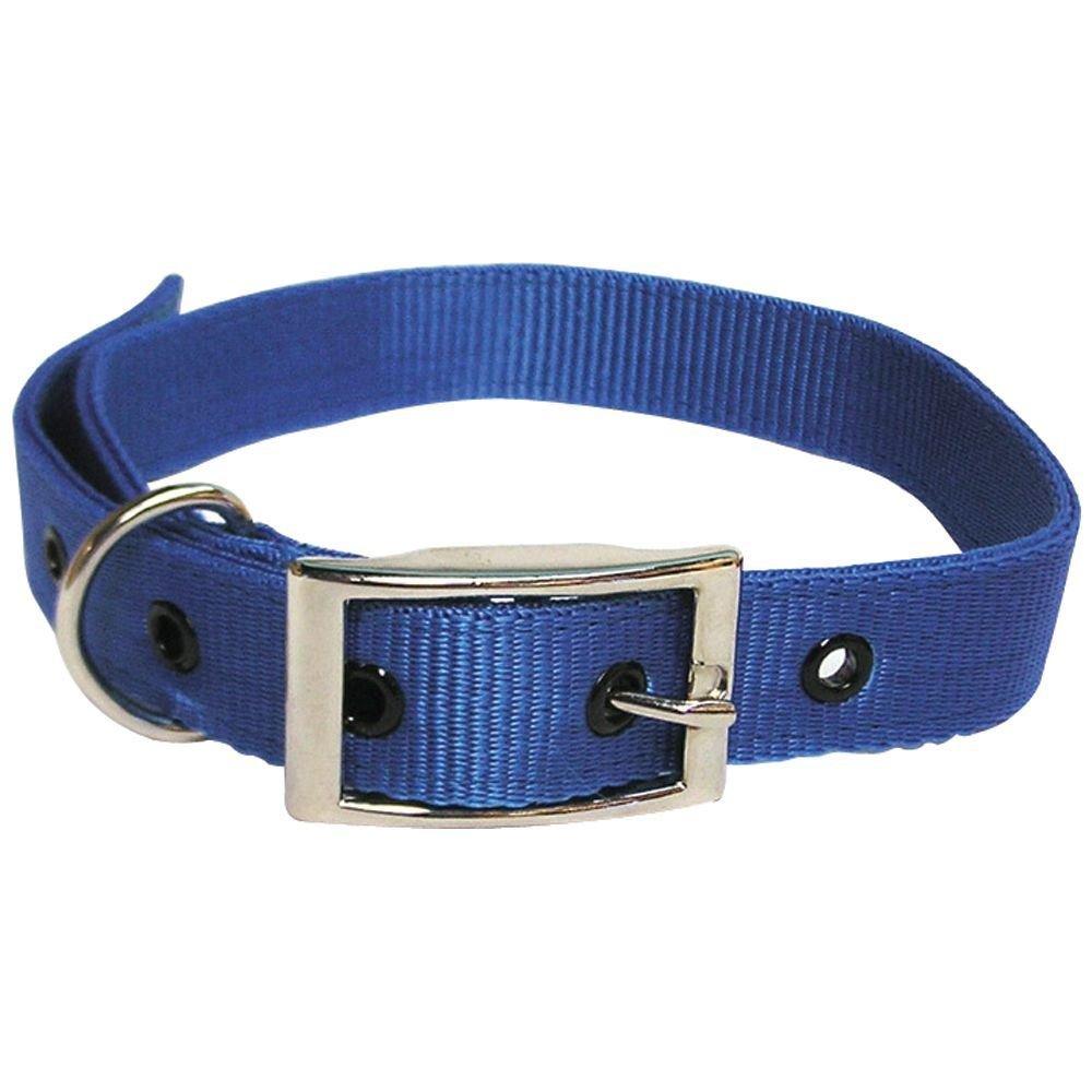 Goat Collar Nylon Buck BLUE - OzFarmer