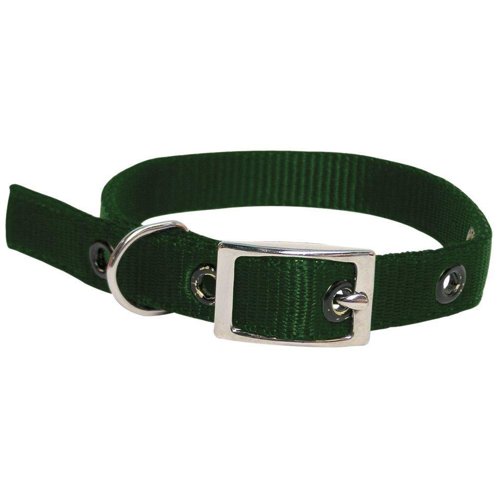 Goat Collar Nylon Buck GREEN - OzFarmer