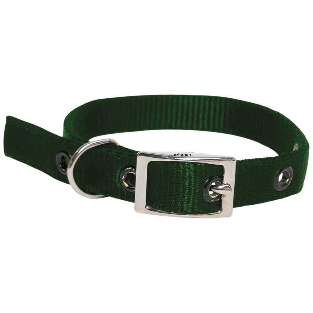 Goat Collar Nylon Doe BLACK - OzFarmer