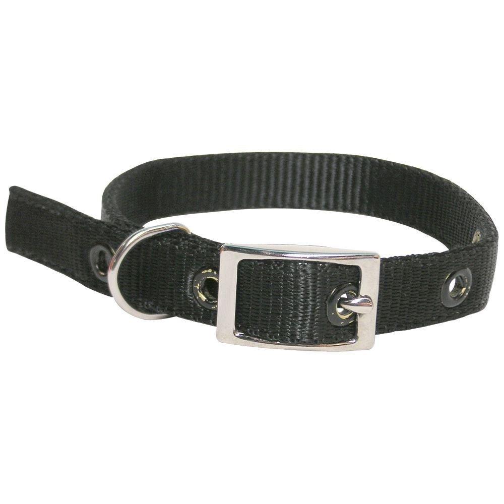 Goat Collar Nylon Kid BLACK - OzFarmer