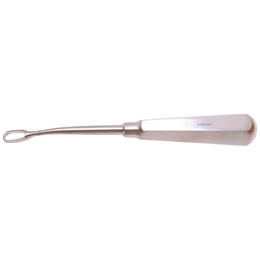 Hoof Knife Eye Loop Stainless Steel - OzFarmer