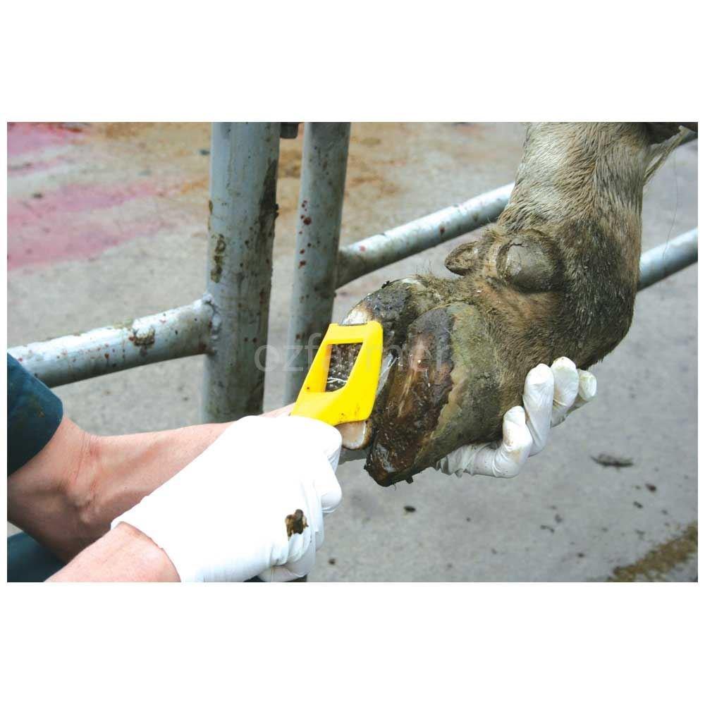 Hoof Rasp Shoof Walkease Yellow - OzFarmer