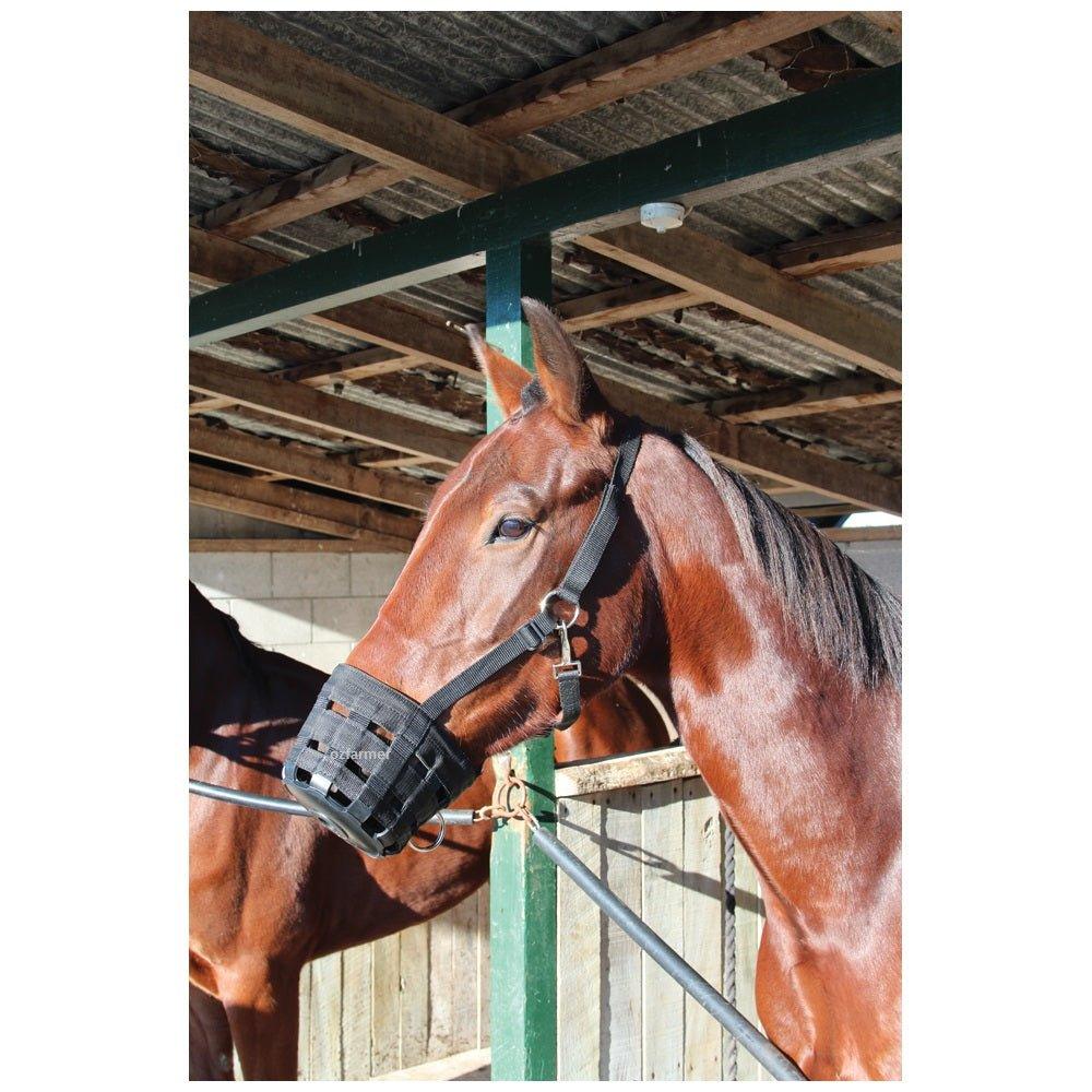 Horse Muzzle Equivet  