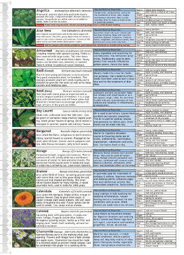 Microgreens Growing Guide - Fold Out Chart - OzFarmer