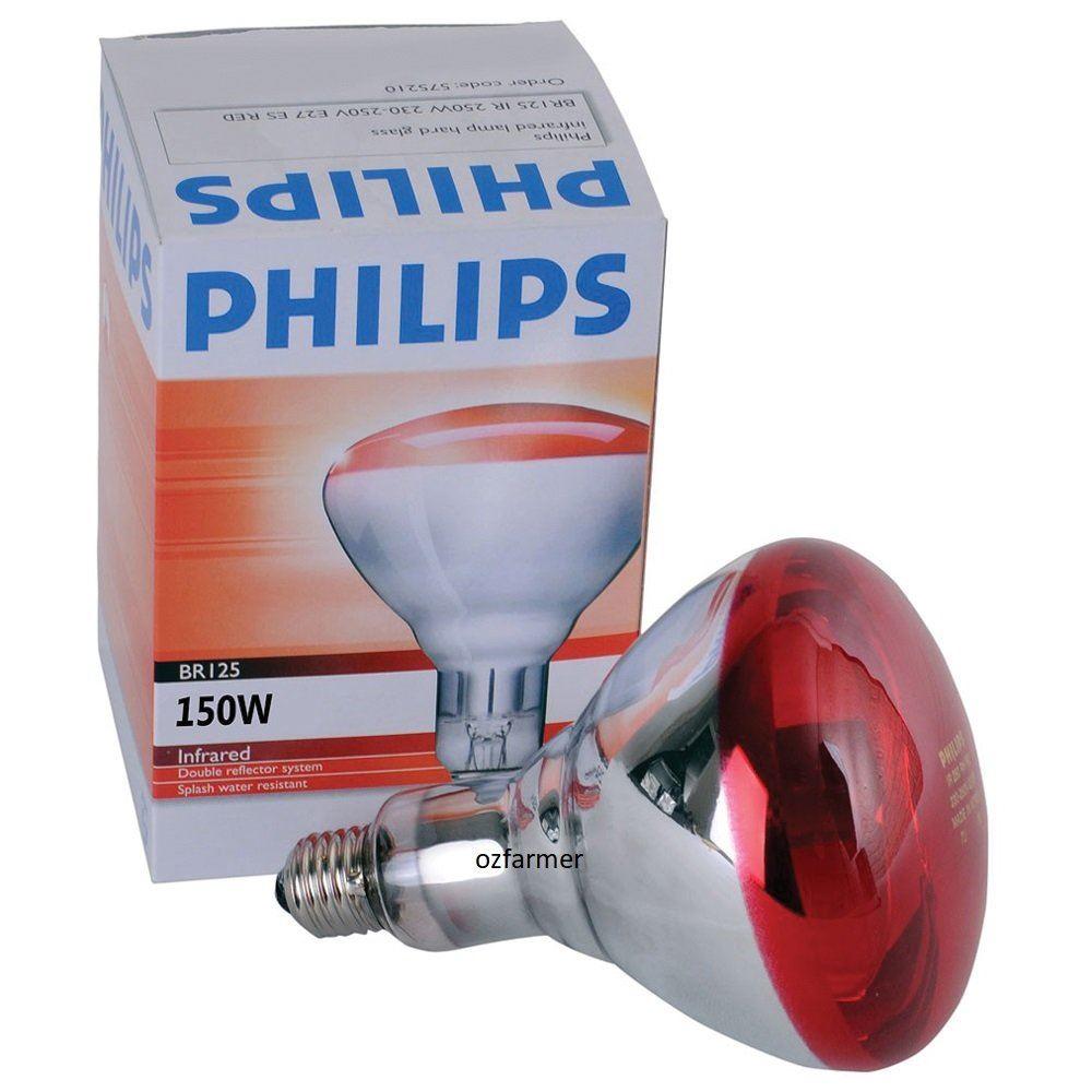 Phillips Red Infrared Brooder Lamp Globe Only 150W - OzFarmer