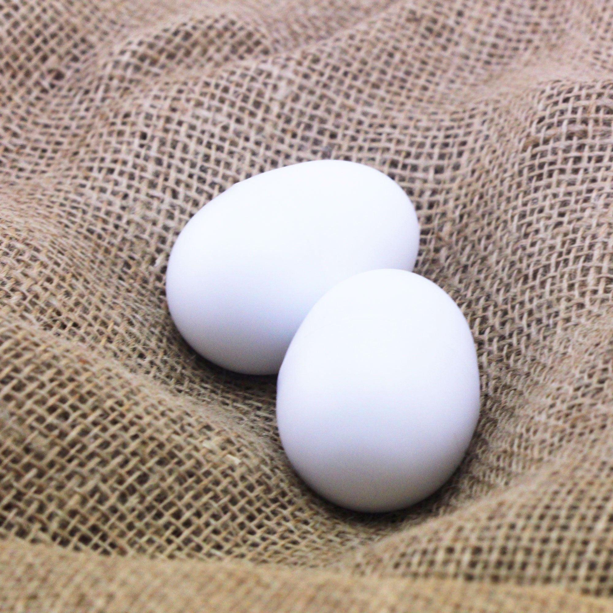 Plastic Fake Brooder Eggs Large / Chicken Size (Pair) - OzFarmer