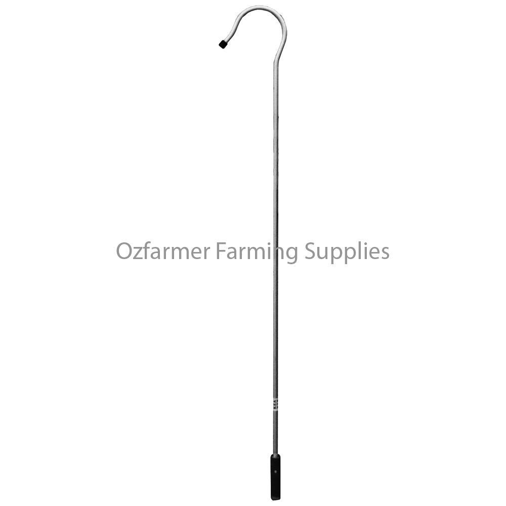 Shepherds Crook Kea Traditional - OzFarmer