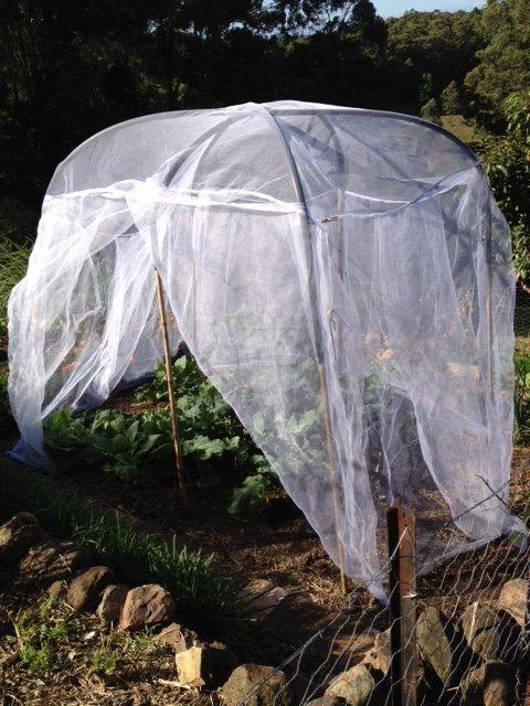 Standard Fruit Saver Garden Net for Fruit Trees and Vegetables